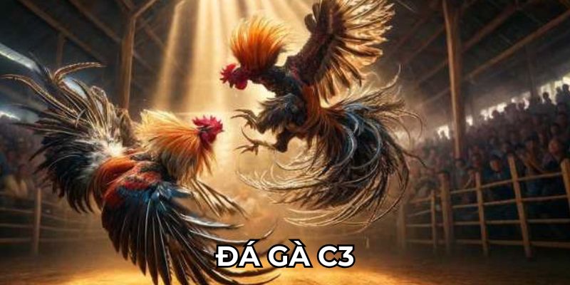 da-ga-c3