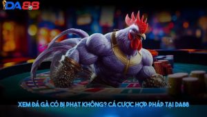 Xem đá gà có bị phạt không? Cá cược hợp pháp tại DA88